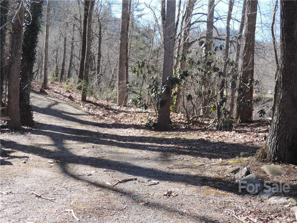 3284 Lake Logan Road Canton, NC 28716 - Photo 36 of 44 a view of a yard with trees