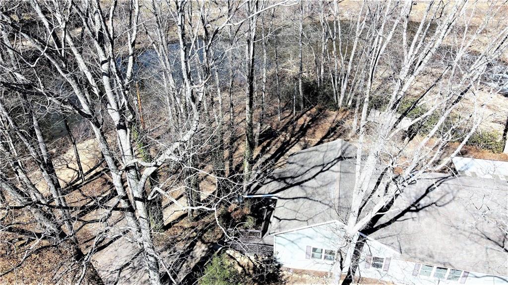 3284 Lake Logan Road Canton, NC 28716 - Photo 40 of 44