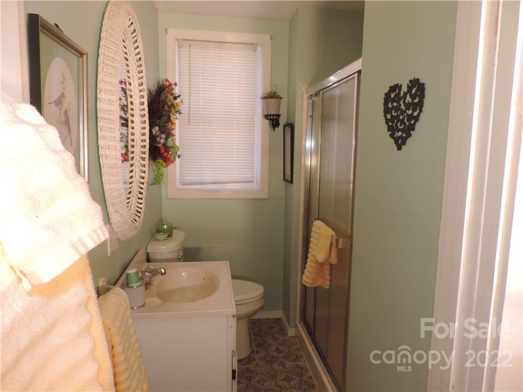 3284 Lake Logan Road Canton, NC 28716 - Photo 8 of 44 a bathroom with a sink and mirror with toilet