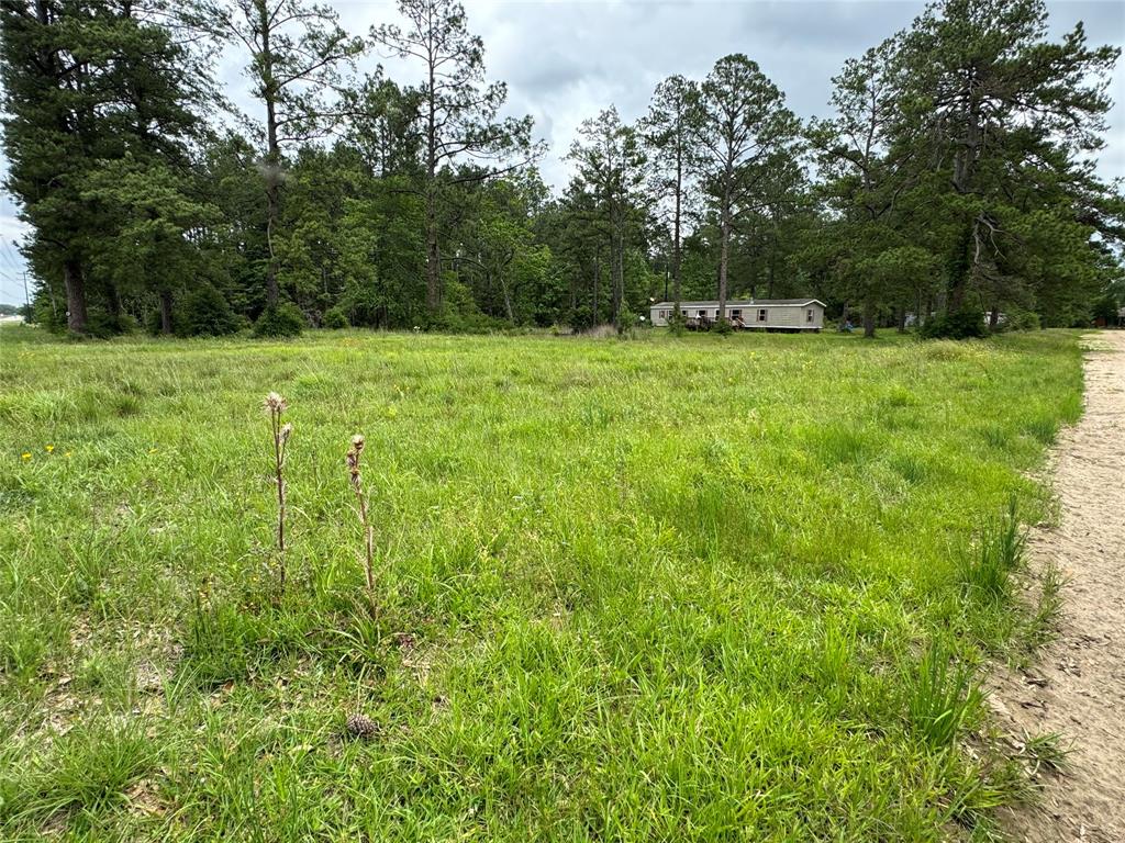 32985 Us Hwy South  