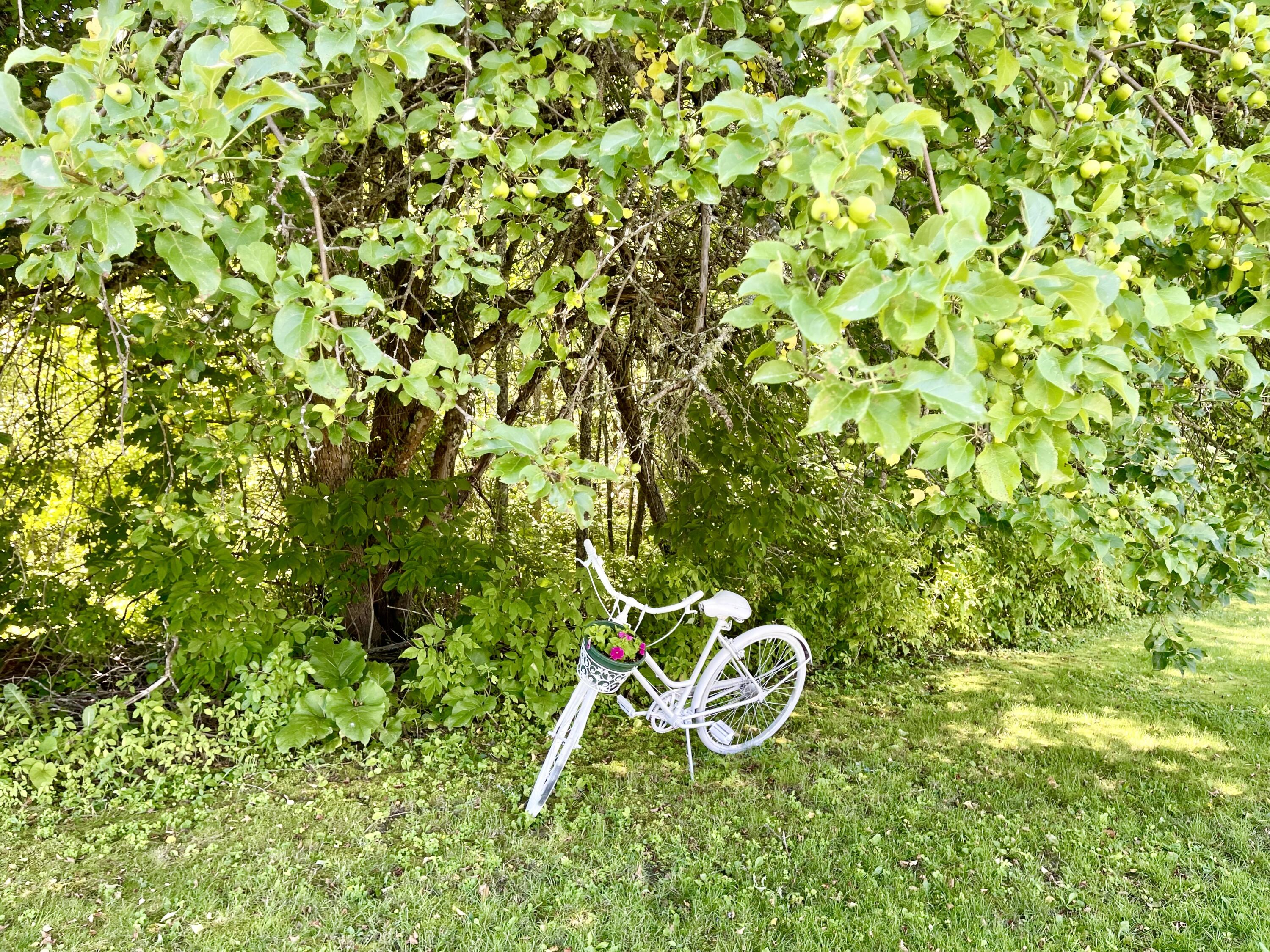 148 Kenduskeag Road Levant, ME 04456 - Photo 42 of 61 Yard