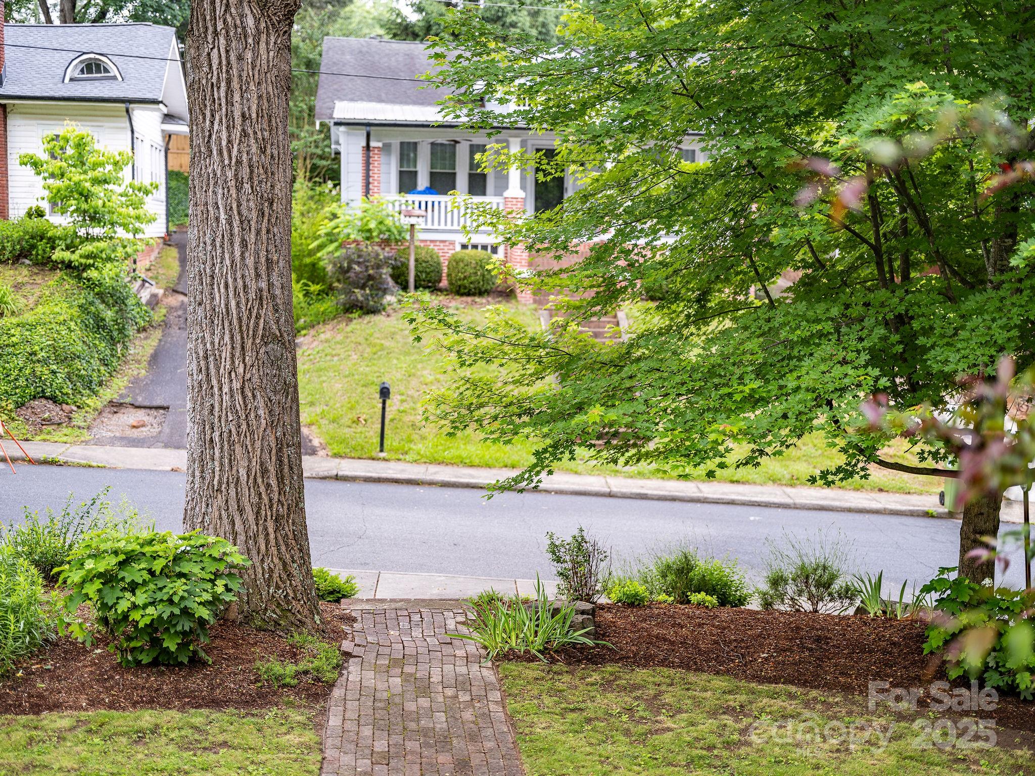 24 Warwick Road Asheville, NC 28803 - Photo 3 of 44