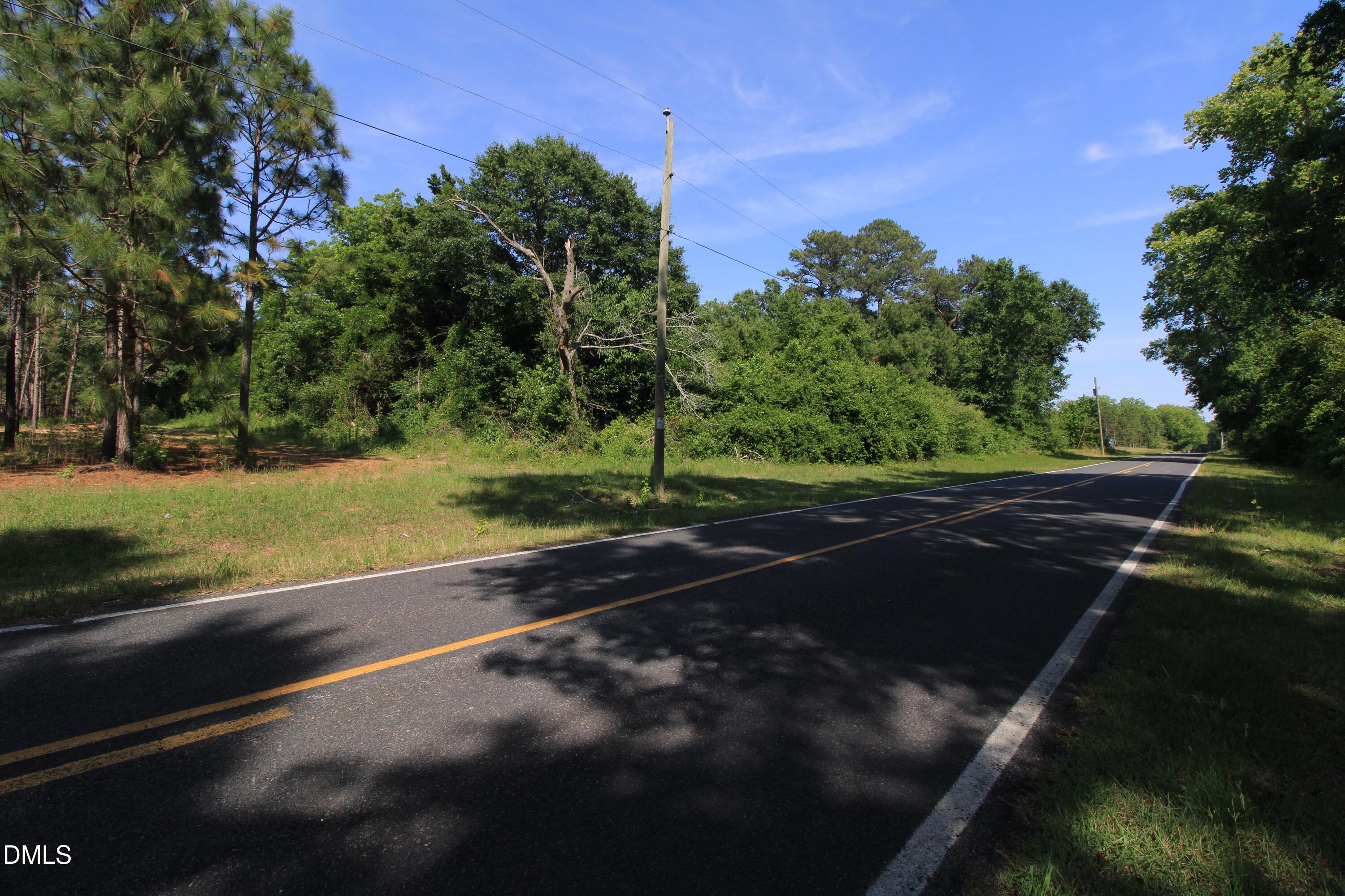 0 Johnson Pond Road Red Springs, NC 28377 - Photo 9 of 19 9