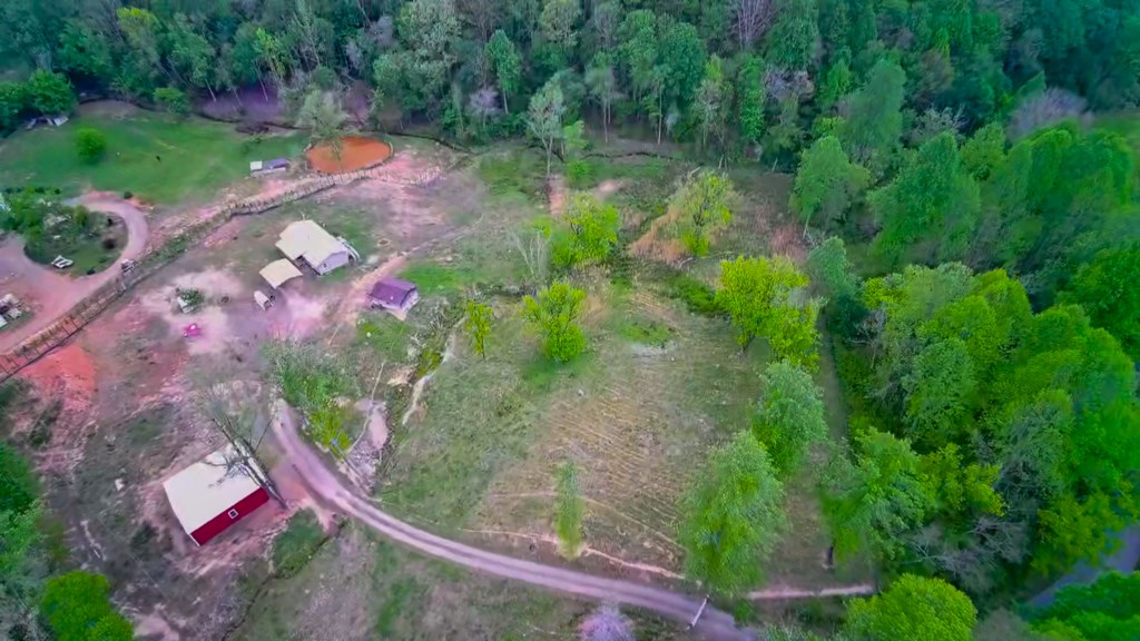 3325 Pack Mountain Road Murphy, NC 28906 - Photo 65 of 69