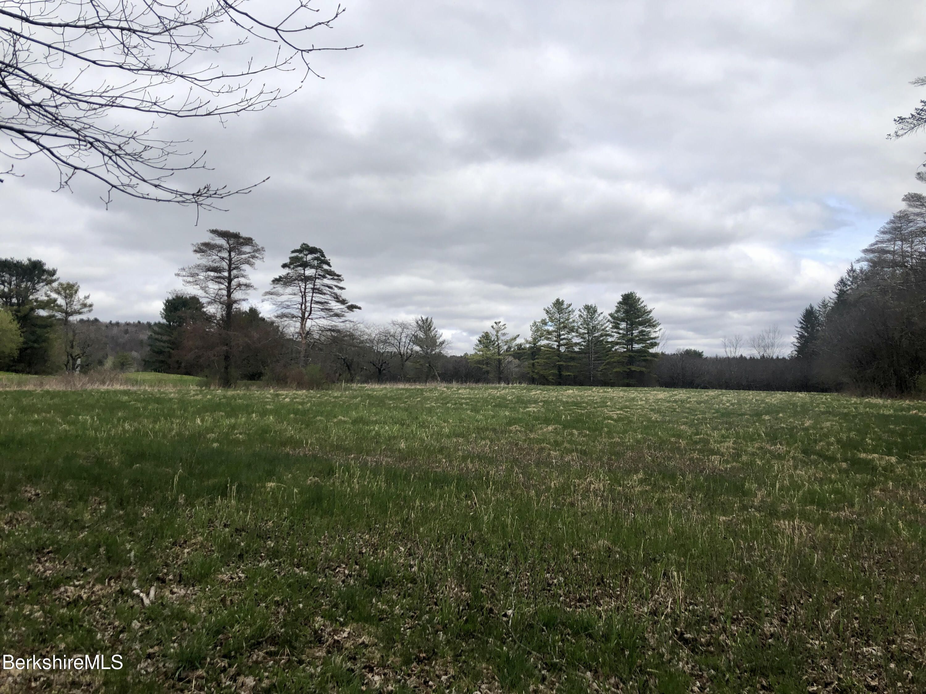 0 Rattlesnake Mountain Road Stockbridge, MA 01262 - Photo 3 of 5 a view of a field of grass and trees