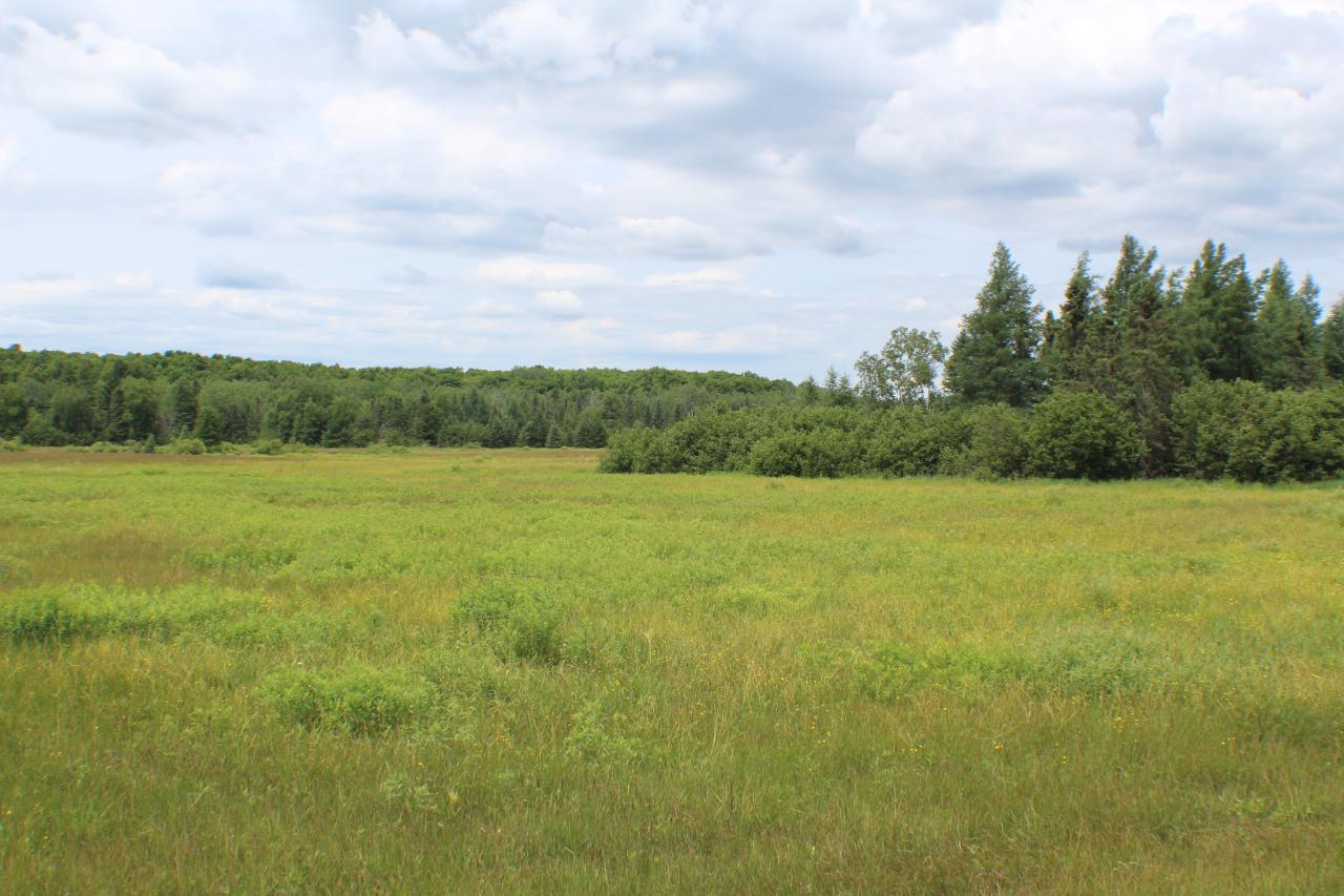 On Mertig Road, Unit 150 ACRES Glidden, WI 54527 - Photo 17 of 48 Gallery Image 17