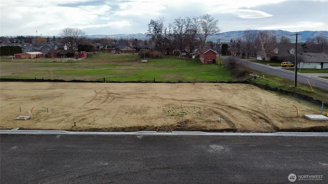 a view of a yard with large trees
