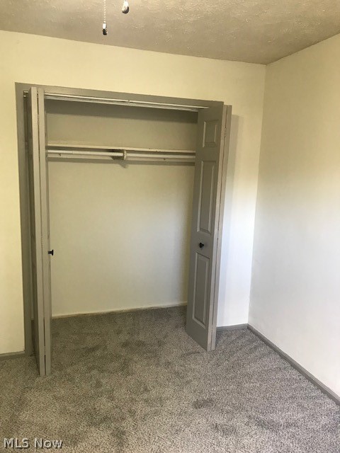 18080 Blandford Road Cleveland, OH 44121 - Photo 11 of 15 Master BR Closet