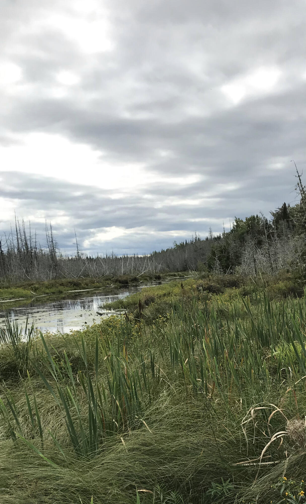 6FD2ECFA-AF52-472E-B0A4-2354AF0A7AE6