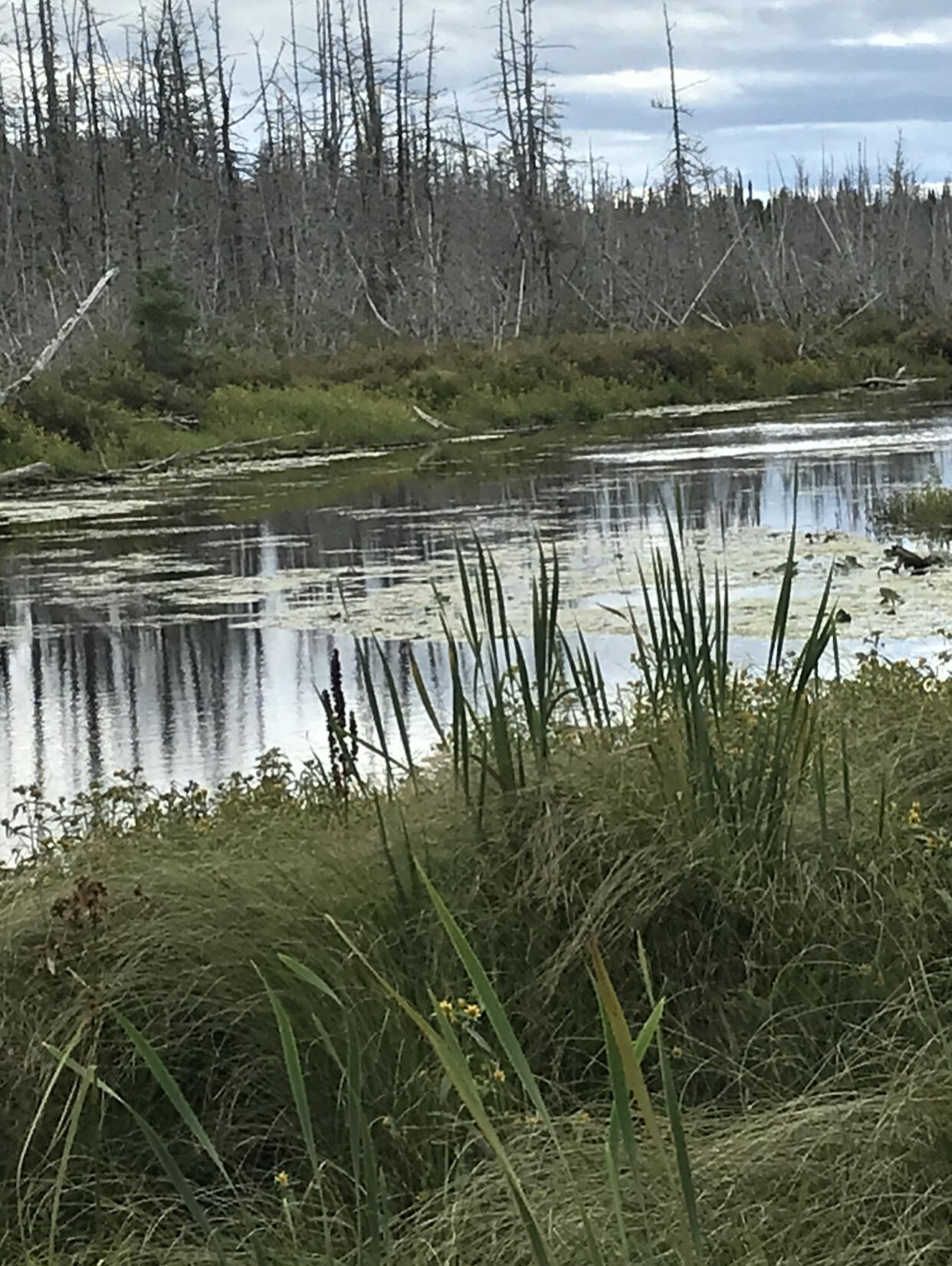 0 Hollywood Road Estates Orient, ME 04471 - Photo 2 of 6 AE84C9BE-8F25-40CD-9674-099F71400C54