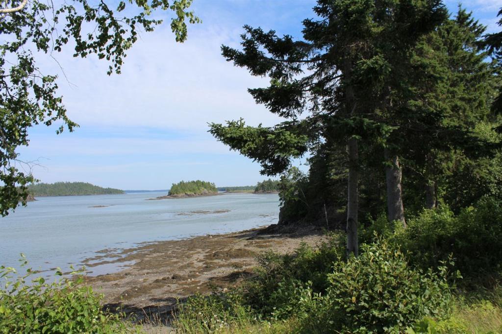 240 Leighton Point Road Pembroke, ME 04666 - Photo 28 of 29 East view from shore