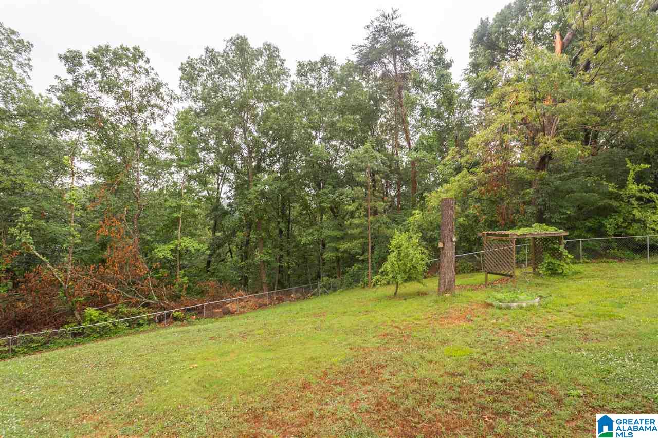 638 Ridgewood Drive Remlap, AL 35133 - Photo 31 of 40