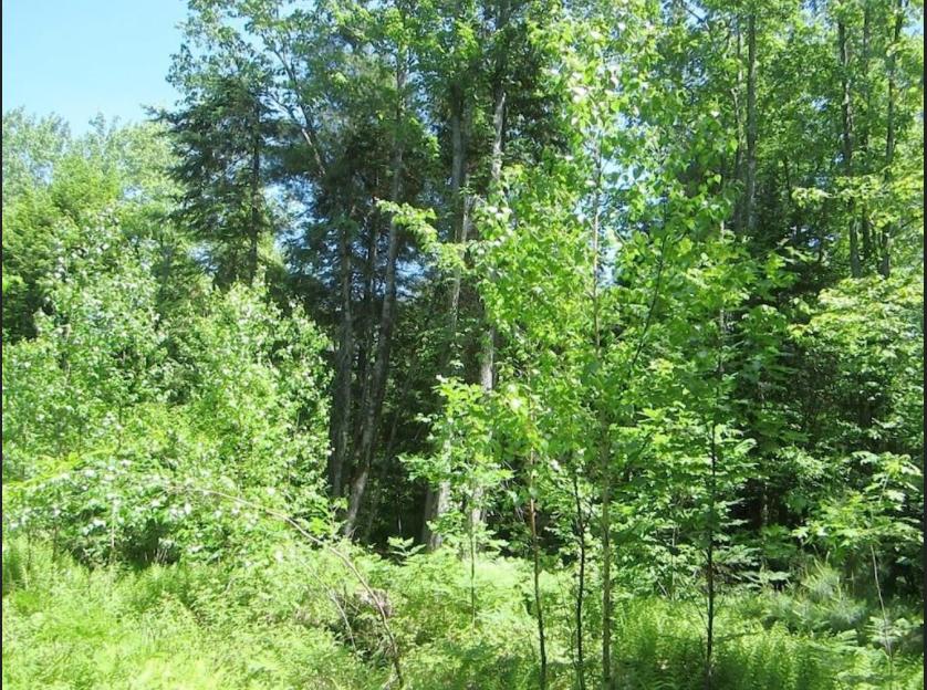 Lot 7 Ferry Road Lisbon, ME 04250 - Photo 3 of 8 Lot 7 Ferry Rd