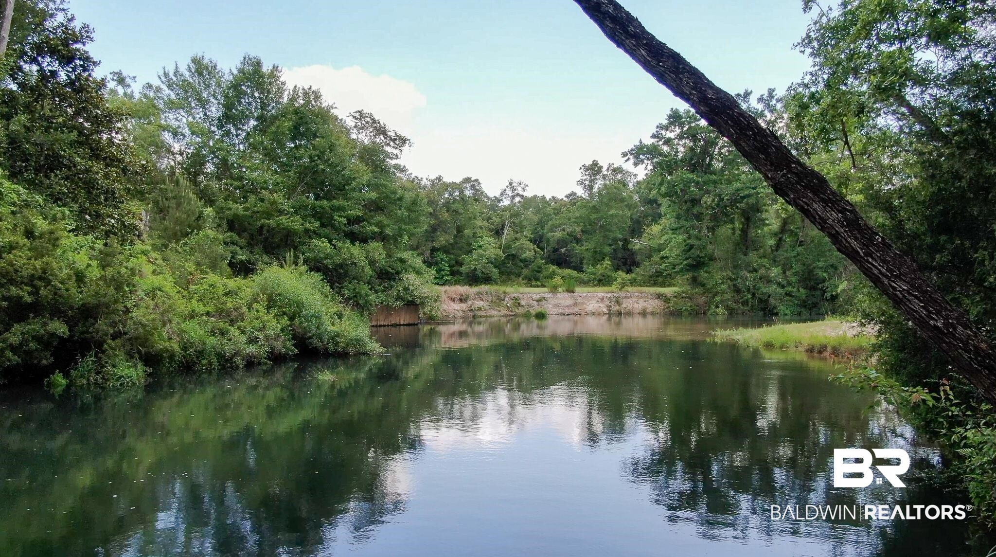 0 Richards Lane Foley, AL 36535 - Photo 8 of 14