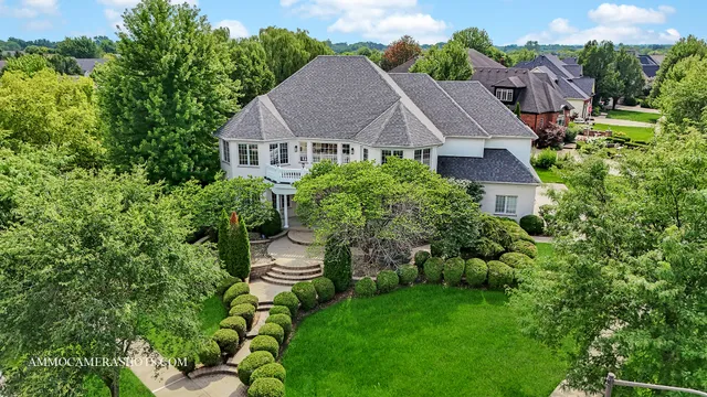 a view of a garden with plants and large trees