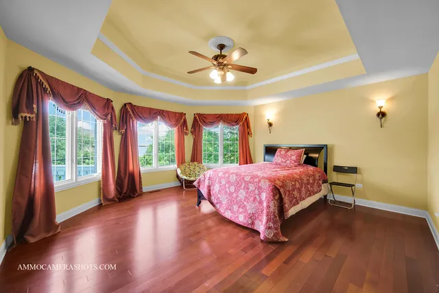 a view of a park with large trees