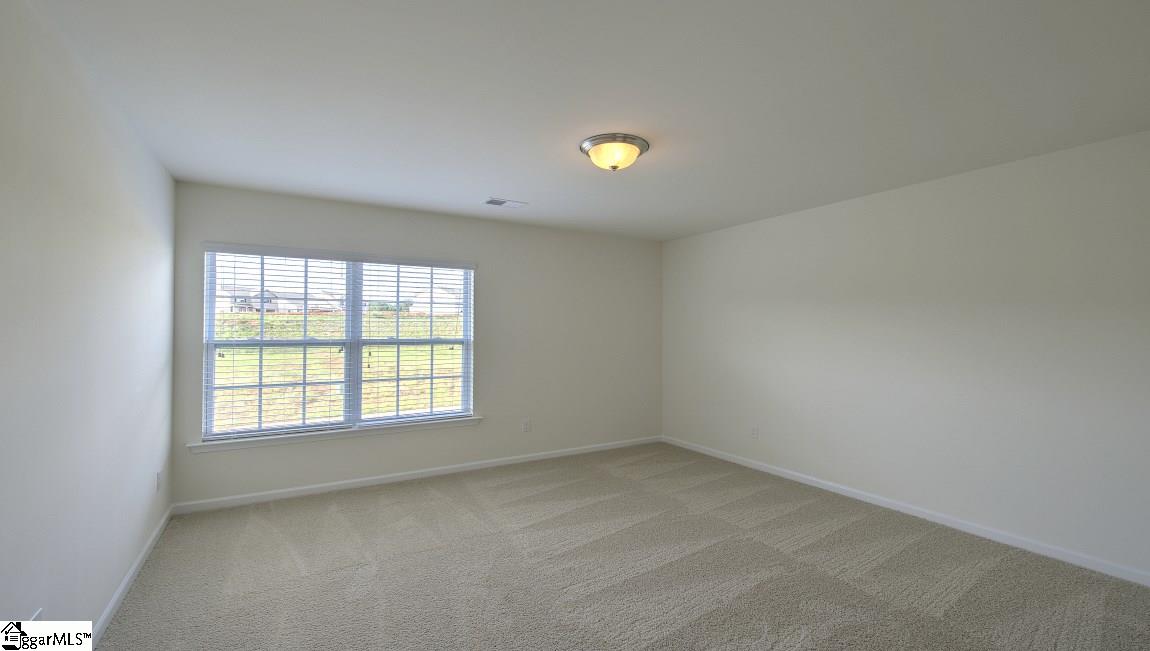 316 Millridge Road Piedmont, SC 29673 - Photo 29 of 36 Gallery Image 29