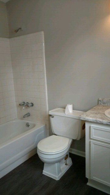 15353 Highway 98 Foley, AL 36535 - Photo 6 of 14