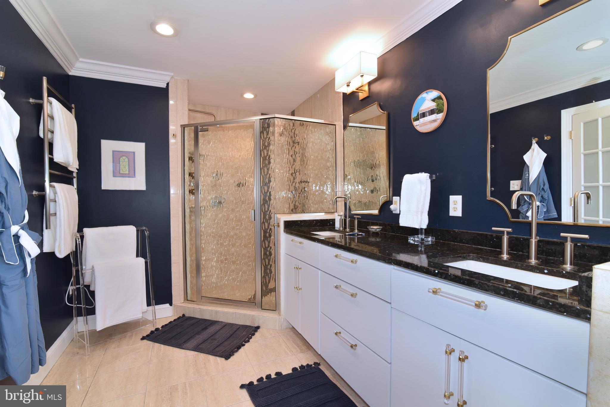 10502 Mt Sunapee Road Vienna, VA 22182 - Photo 23 of 49 Primary Bathroom with Dual Sink Vanity.