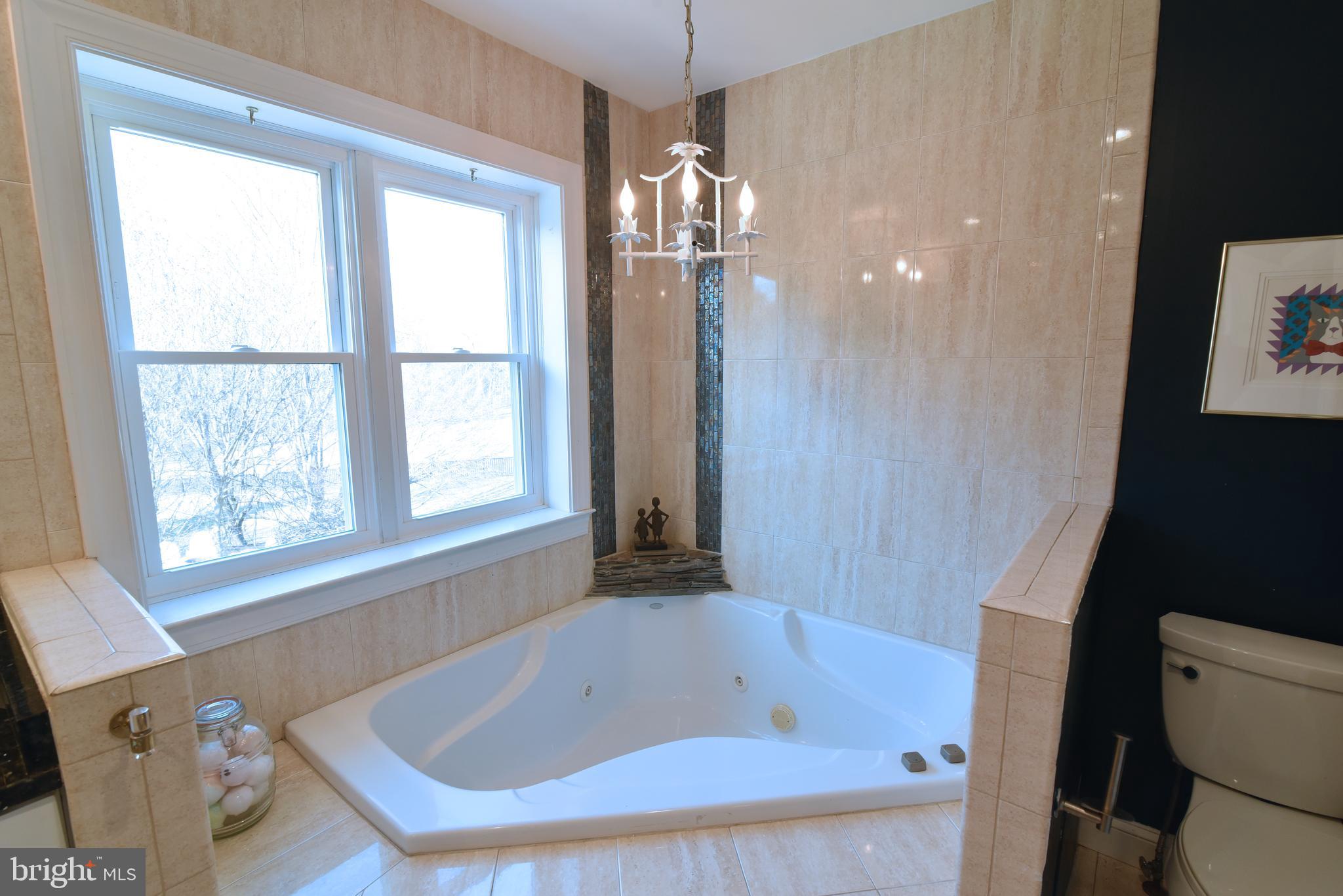 10502 Mt Sunapee Road Vienna, VA 22182 - Photo 24 of 49 Spa Like Primary Soaking Tub.