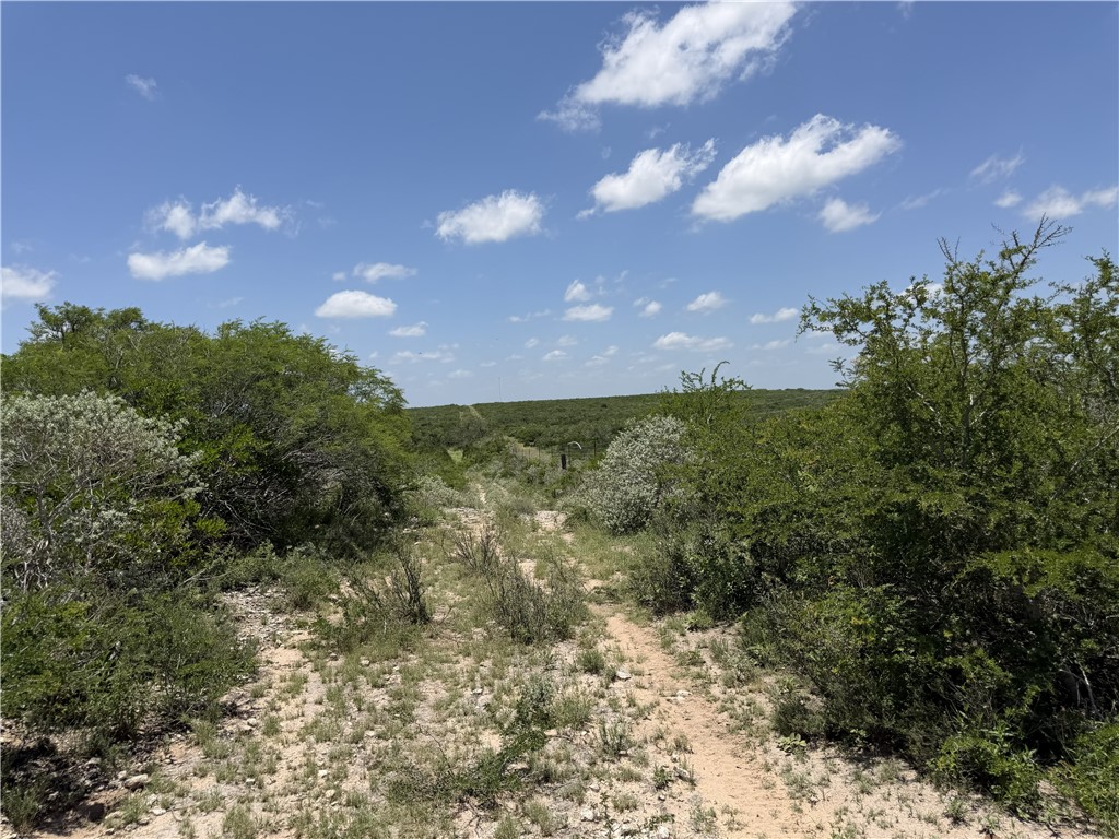2346 Frontier Rd 1 San Diego, TX 78384 - Photo 14 of 14