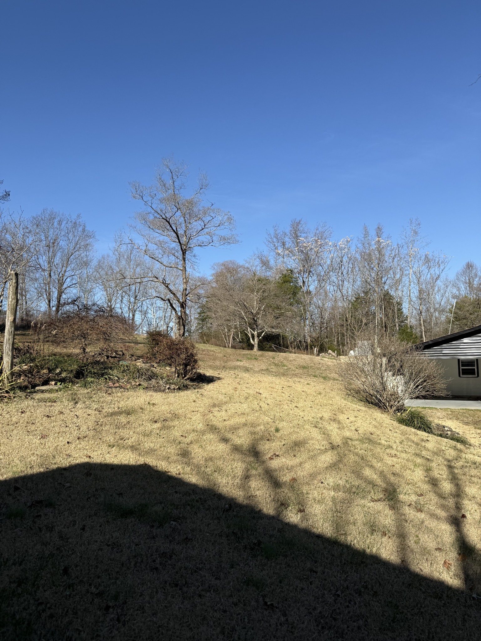 133 Mockerson Road Leoma, TN 38468 - Photo 14 of 20 a view of a yard with mountain