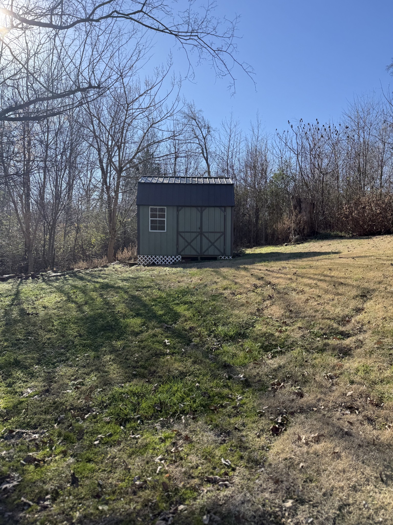133 Mockerson Road Leoma, TN 38468 - Photo 16 of 20 a view of a backyard with large trees