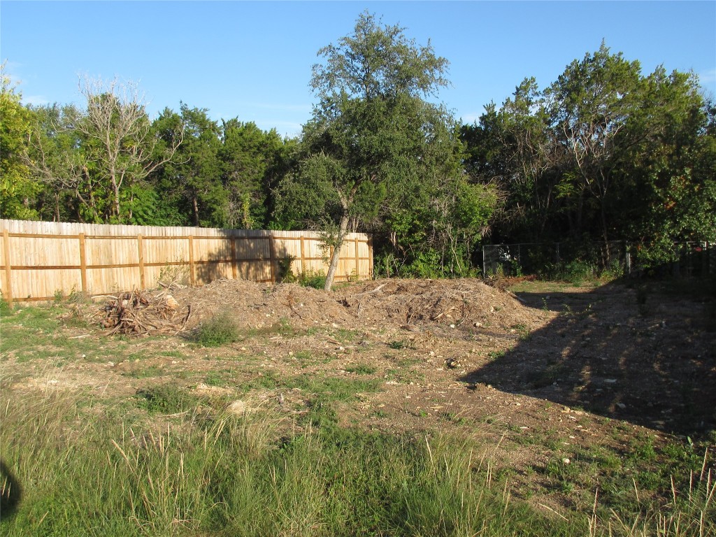11103 1st Street Jonestown, TX 78645 - Photo 3 of 4 a view of a yard