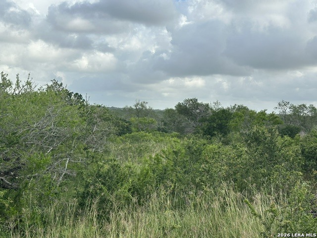 Tbd Leal Road Pleasanton, TX 78064 - Photo 5 of 14