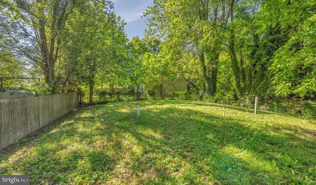 a backyard of a house with plants and large trees