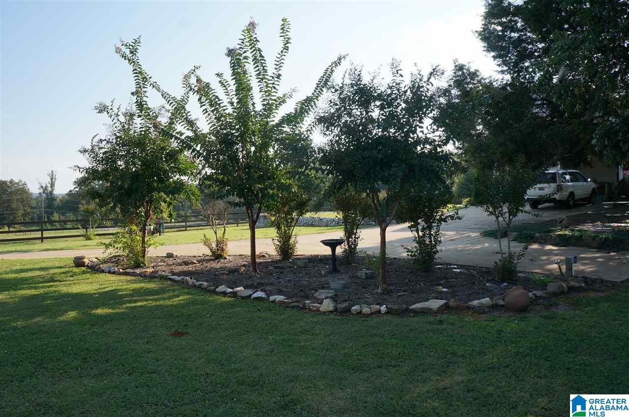 89 Cir M Rnch Drive Sylacauga, AL 35151 - Photo 12 of 50