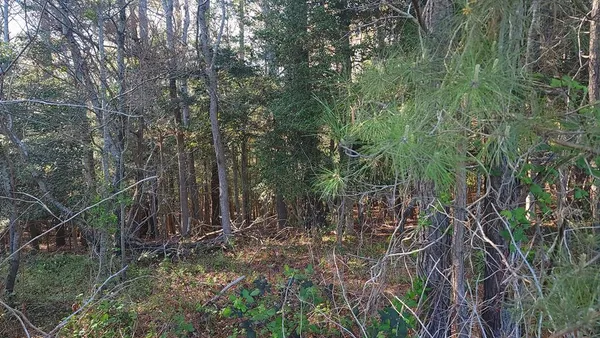 $4,200 | Lot 7 Liberty Drive, Unit 7, Wachapreague, VA 23480