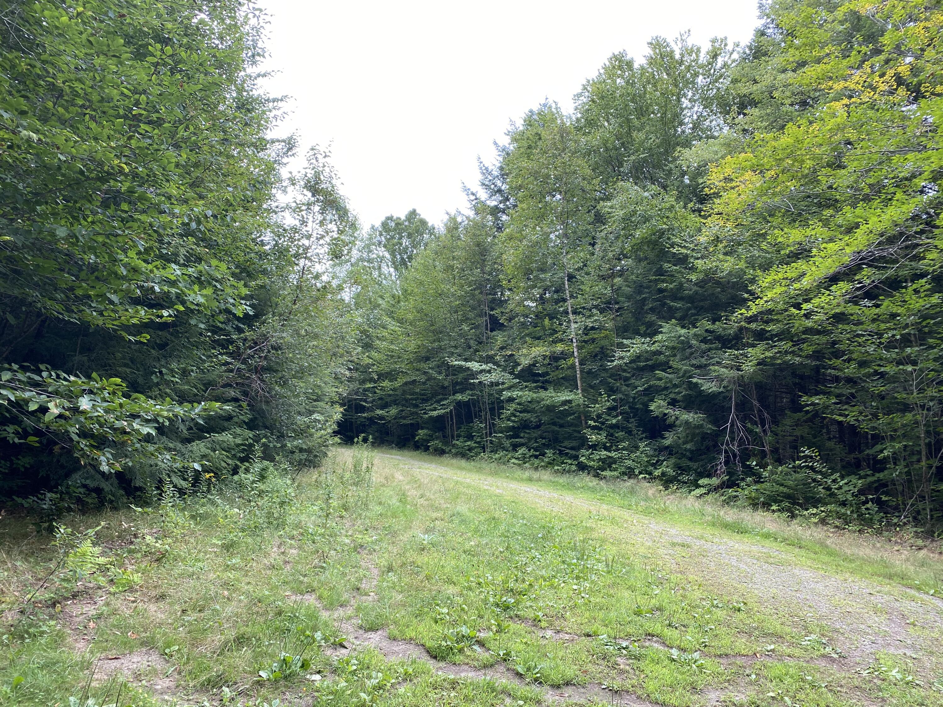 195 Drake Pond Road Jackson, ME 04921 - Photo 23 of 27 Access Road