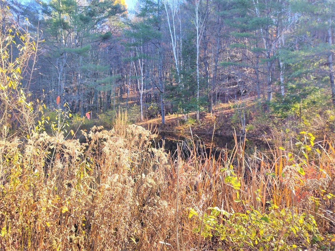 57 Greene Road Langdon, NH 03602 - Photo 29 of 31