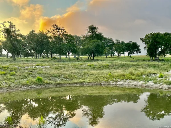 a big yard with lots of green space and trees in the background