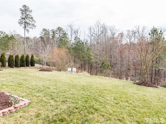 209 Amiable Loop Cary, NC 27519 - Photo 25 of 25 a view of large yard with large trees