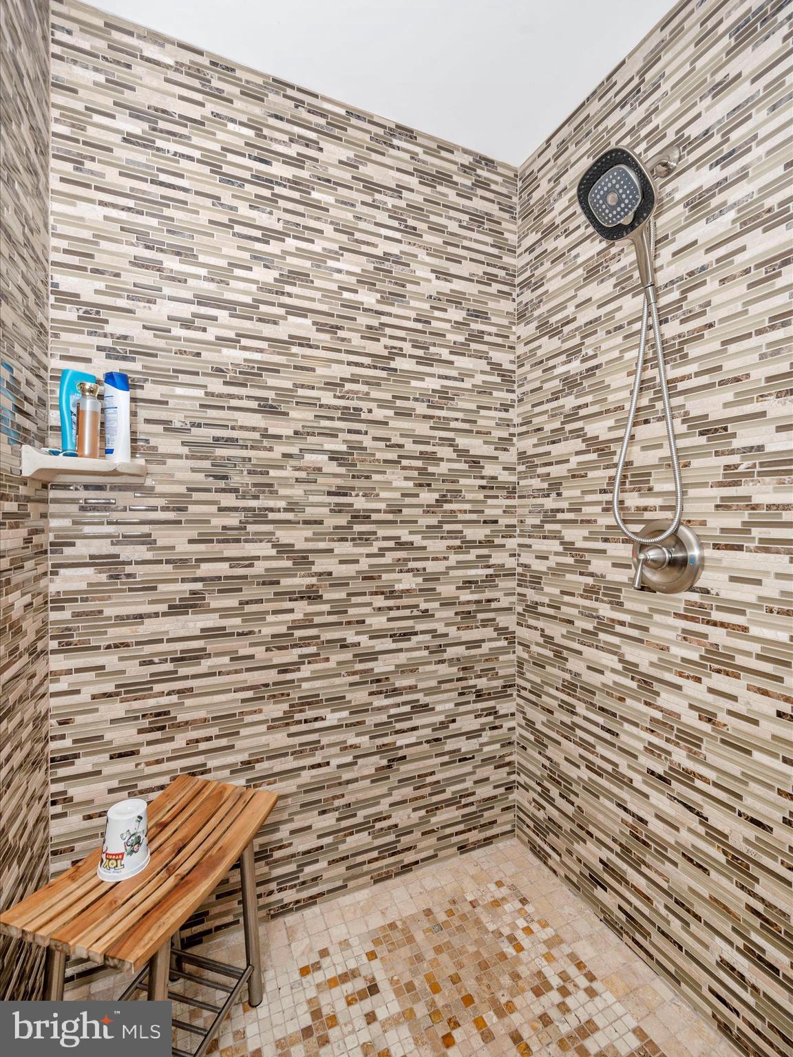 100 Spring Street Gaithersburg, MD 20877 - Photo 30 of 56 Primary bath shower