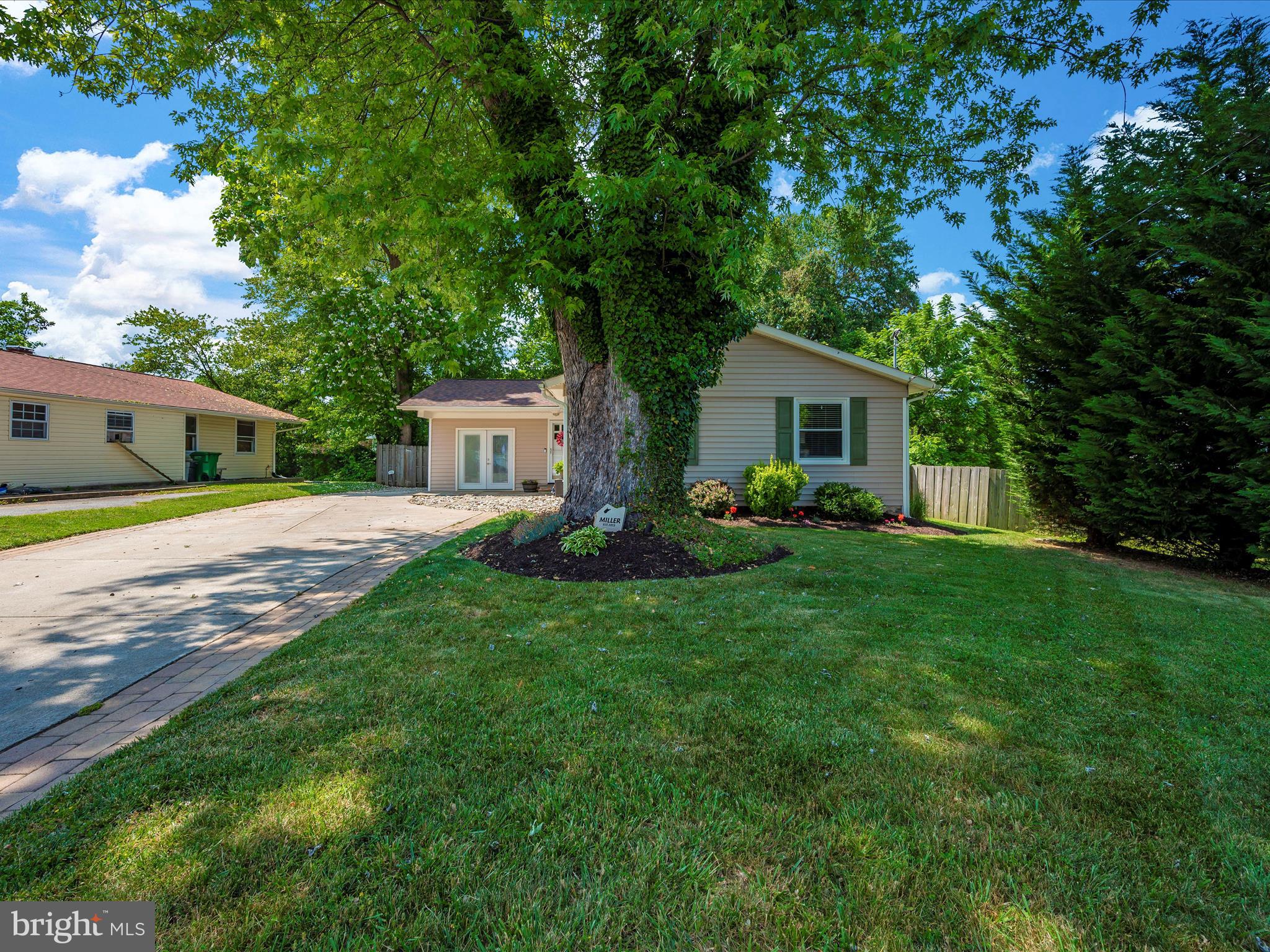 100 Spring Street Gaithersburg, MD 20877 - Photo 5 of 56 Beautiful front yard