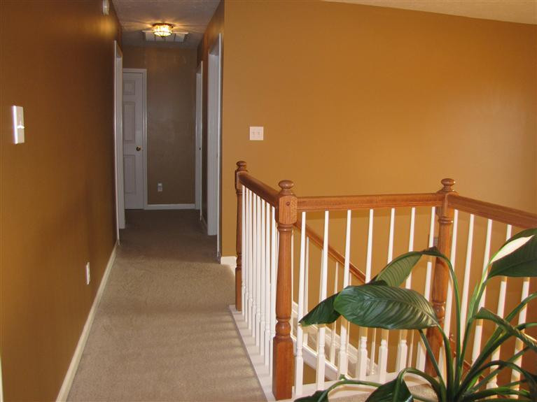 349 Winton Road Versailles, KY 40383 - Photo 20 of 36 Hallway to bedrooms