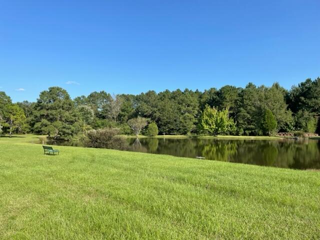 37 Peter Collinson Road Santee, SC 29142 - Photo 28 of 29 Pond