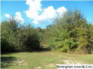 15041 Benevola Road Gordo, AL 35466 - Photo 21 of 21