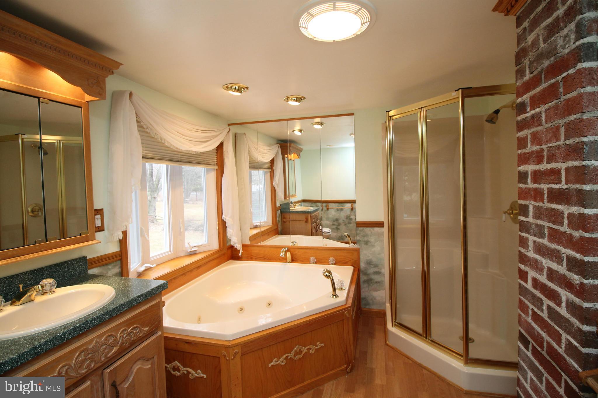 10908 Steffeny Road Randallstown, MD 21133 - Photo 14 of 25 Bath (Master)