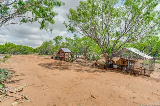 a view of a house with large tree in front of it
