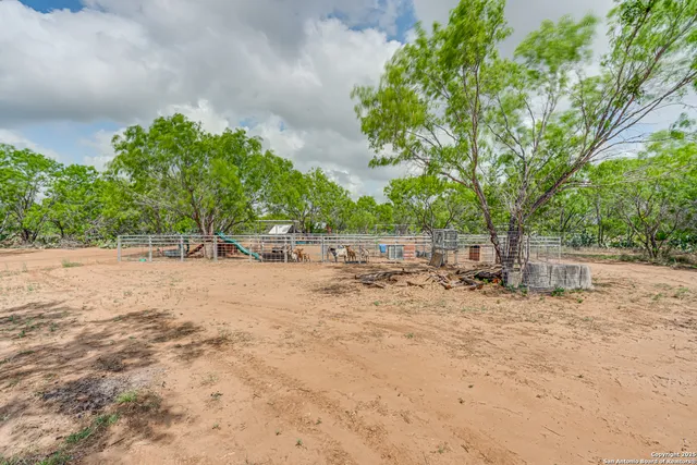 a view of backyard with large trees