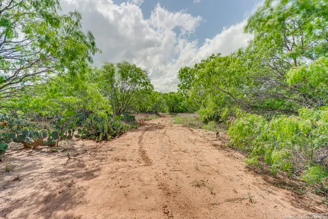 a view of a pathway with a yard