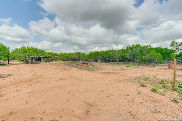 a view of a plants with large trees