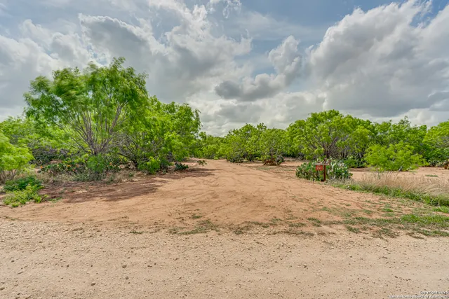 a view of a yard with plants and a trees