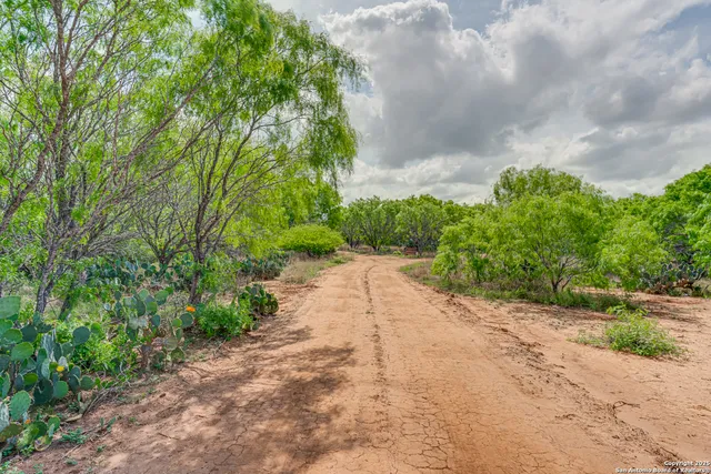 a view of a pathway both side of house