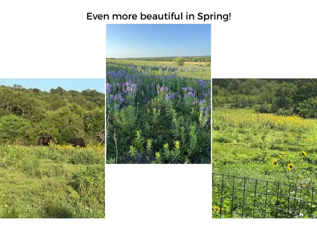 $745,000 | 182 Lantana Lane, Maxwell, TX 78656