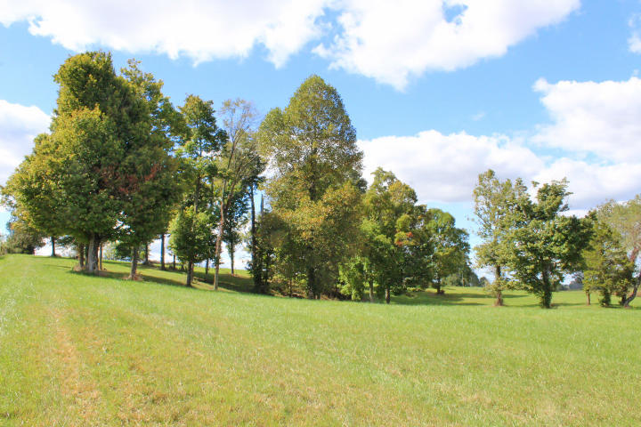 951 Thurman Road Somerset, KY 42503 - Photo 108 of 118 IMG_5053